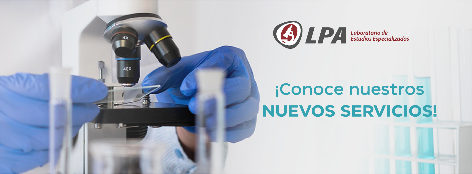 LPA_Web_Nuevos_servicios